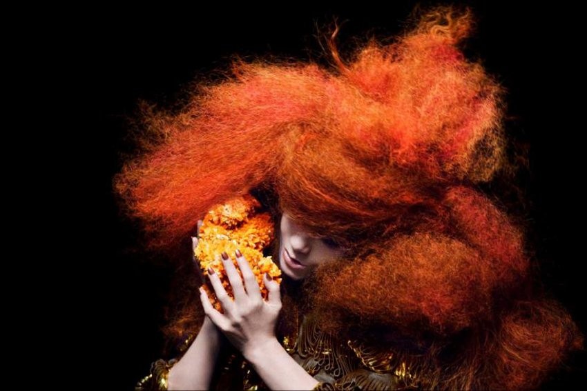 Björk (Pressefoto, 2011)